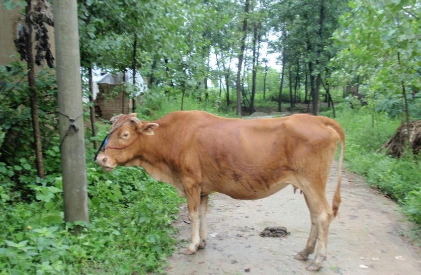 温州最新求一个套医保卡的黄牛是真的吗方法分析(最方便真实的温州求一个套医保卡的黄牛是真的吗还是假的方法)